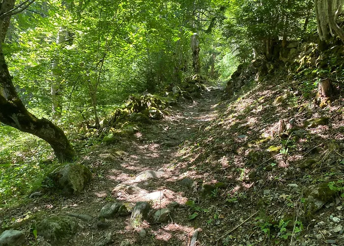 Апартаменты Champagny Les Alpages